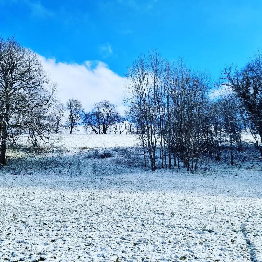 Calme Et Chaleureux De Campagne.